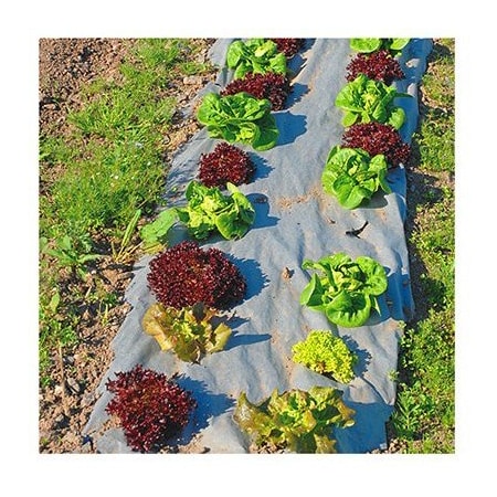 Dewitt 40'NAT GDN Weed Barrier NAT340